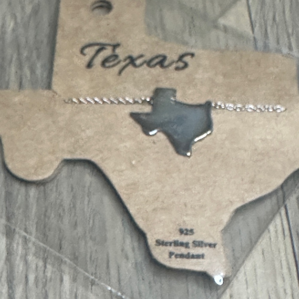 Texas Sterling Silver Pendant Necklace